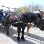 Szabadtéri Néprajzi Múzeum Szentendre - 