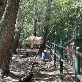 Szigethalmi Családi Vadaspark Szigethalom - Egyéb
