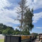 Szilvásváradi Kisvasút Szilvásvárad - Egyéb