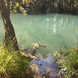 Tatai Fényes tanösvény, Tata - Egyéb