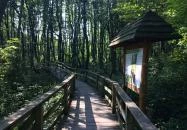 Tatai Fényes tanösvény Tata