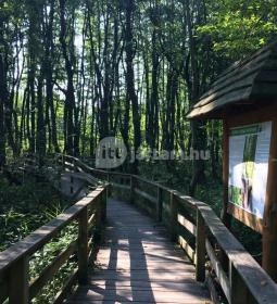 Tatai Fényes tanösvény