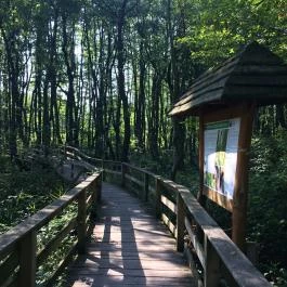 Tatai Fényes tanösvény, Tata - Egyéb