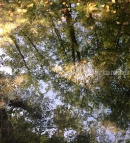 Tatai Fényes tanösvény