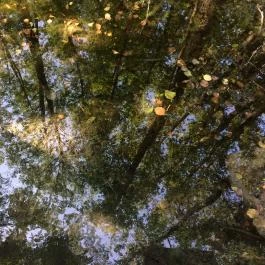 Tatai Fényes tanösvény, Tata - Egyéb