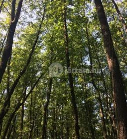 Tatai Fényes tanösvény