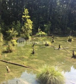 Tatai Fényes tanösvény