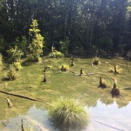 Tatai Fényes tanösvény, Tata - Egyéb