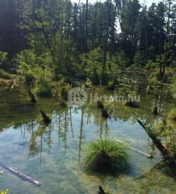 Tatai Fényes tanösvény