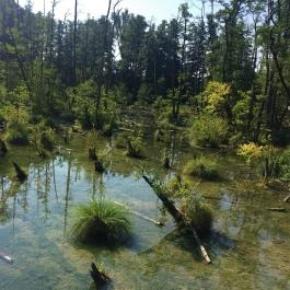 Tatai Fényes tanösvény, Tata - Egyéb