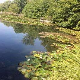 Tatai Fényes tanösvény, Tata - Egyéb