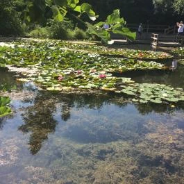 Tatai Fényes tanösvény, Tata - Egyéb