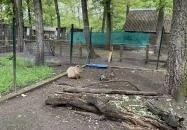 Törökmező Kalandpark Nagymaros