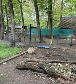 Törökmező Kalandpark