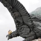 Turul Emlékmű Tatabánya - Egyéb