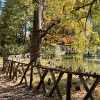 Vácrátóti Arborétum Vácrátót - Egyéb