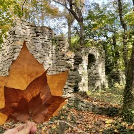 Vácrátóti Arborétum Vácrátót - Egyéb
