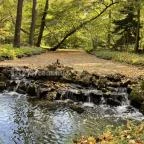 Vácrátóti Arborétum Vácrátót - Egyéb