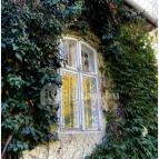 Vácrátóti Arborétum Vácrátót - Egyéb