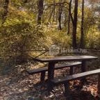 Vácrátóti Arborétum Vácrátót - Egyéb