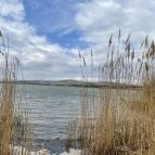 Velencei-tó Velence - Egyéb