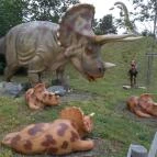 Veszprémi Állatkert Veszprém - 