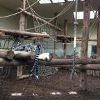 Veszprémi Állatkert Veszprém - 