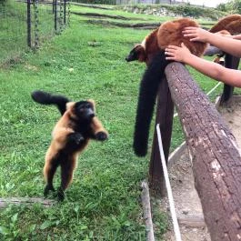 Veszprémi Állatkert, Veszprém - 