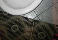 Varjú Fogadó Tapolca