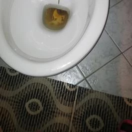 Varjú Fogadó Tapolca - Egyéb