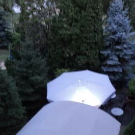 Hotel Mária Balatonmáriafürdő - Medence/kert