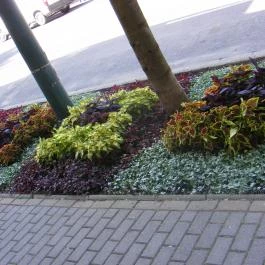 Arika Vendégház, Gyula - Medence/kert