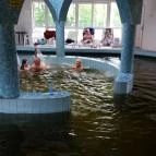 Hotel Gara Gyógy- és Wellness Szálloda Füzesgyarmat - Wellness