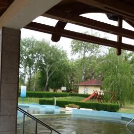 Hotel Gara Gyógy- és Wellness Szálloda, Füzesgyarmat - Medence/kert
