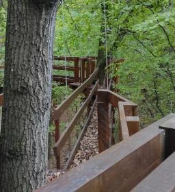  Kaszói Lombkorona Sétány