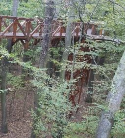  Kaszói Lombkorona Sétány