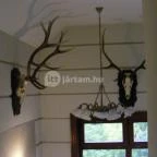 Nimród Bioszálloda és Bioétterem Karcag - Belső