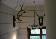 Nimród Bioszálloda és Bioétterem Karcag