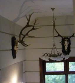 Nimród Bioszálloda és Bioétterem