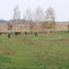 Sokoró Fogadó Sokorópátka - Környék