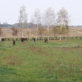 Sokoró Fogadó, Sokorópátka - Környék