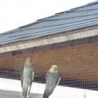 X-games Hotel, Sport és Rendezvényközpont Tiszaug - Egyéb