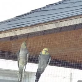 X-games Hotel, Sport és Rendezvényközpont Tiszaug - Egyéb