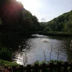 Erdei Halsütöde Lillafüred - Külső kép