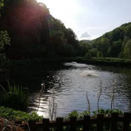 Erdei Halsütöde Lillafüred - Külső kép