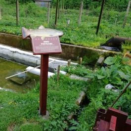 Erdei Halsütöde Lillafüred - Külső kép