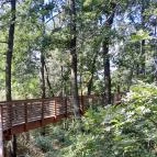 Karcagi Parkerdő és Lombkorona sétány Karcag - Egyéb