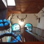 Zseri Vadászház Fehérvárcsurgó - Egyéb