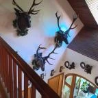 Zseri Vadászház Fehérvárcsurgó - Egyéb