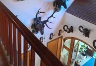 Zseri Vadászház Fehérvárcsurgó